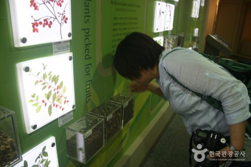 大邱药令市韩医药文化馆 (20/22)
