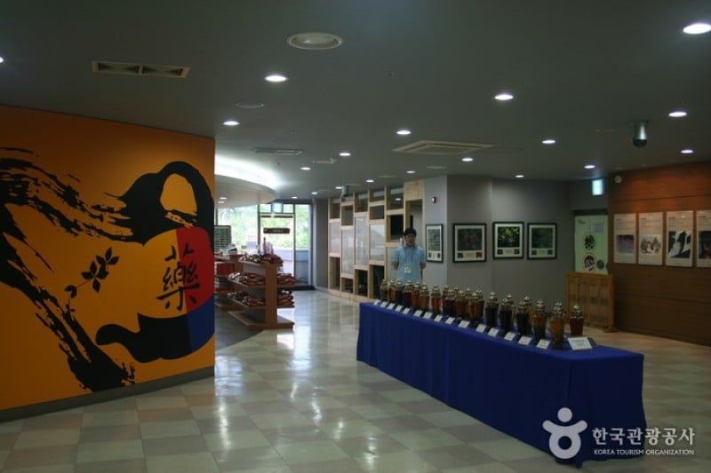 大邱药令市韩医药文化馆 (22/22)