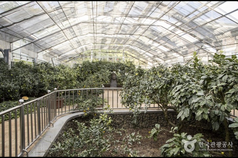 橘子博物馆