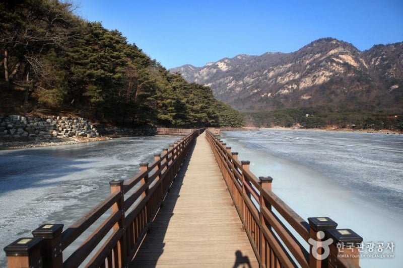 山井湖水