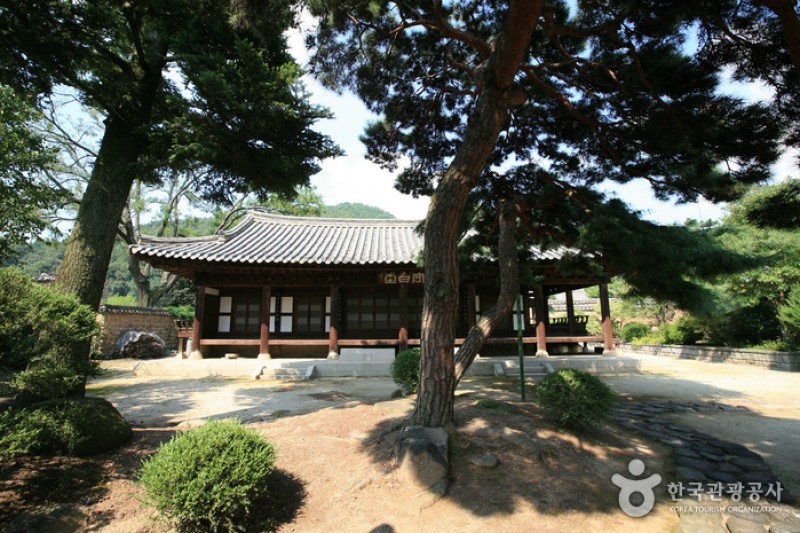 仁兴村