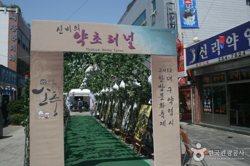大邱药令市韩方文化节