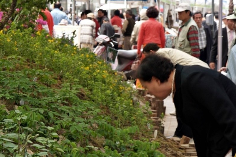 大邱药令市韩方文化节