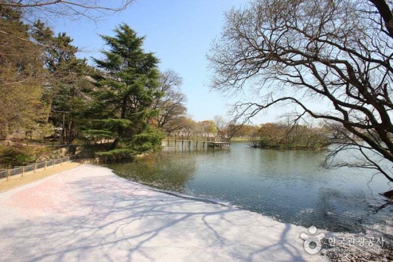 镇海内水面环境生态公园