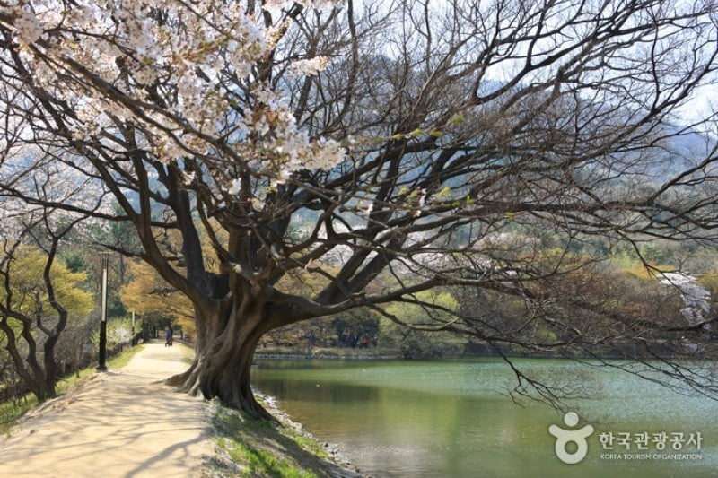 镇海内水面环境生态公园