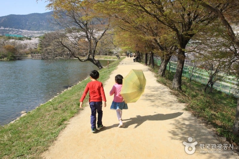 镇海内水面环境生态公园