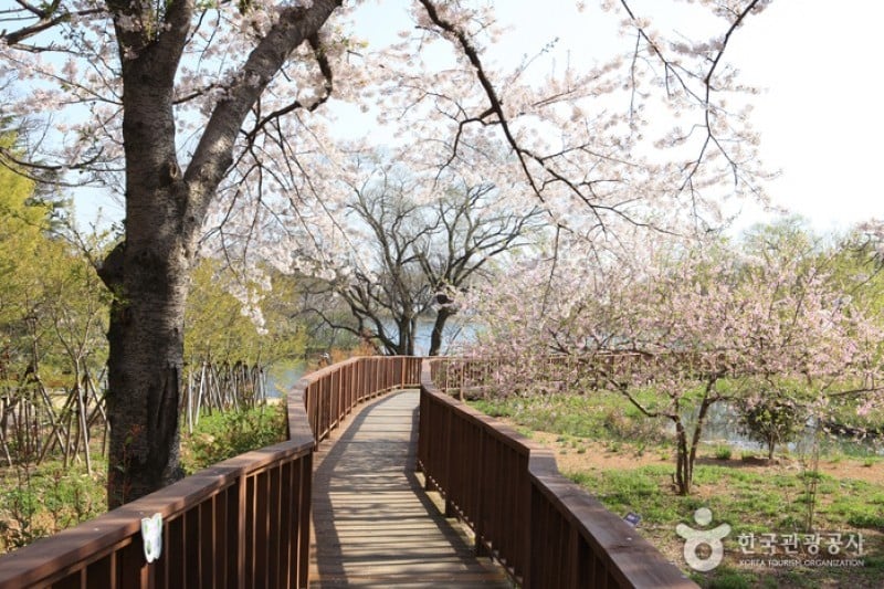 镇海内水面环境生态公园