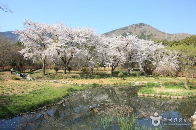 镇海内水面环境生态公园
