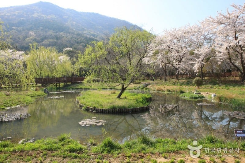 镇海内水面环境生态公园