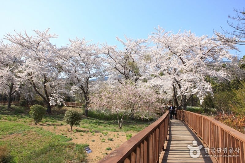 镇海内水面环境生态公园