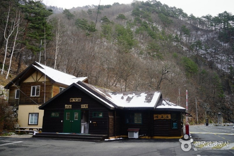 米川谷自然休养林