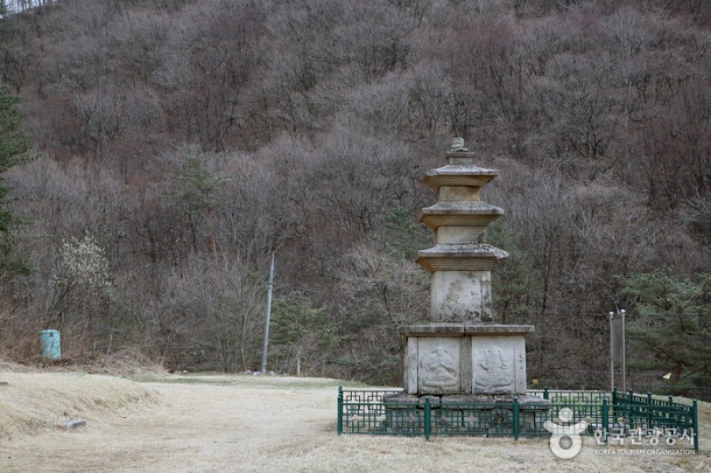 米川谷自然休养林
