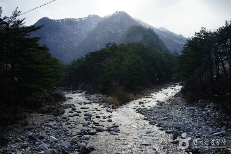 米川谷自然休养林