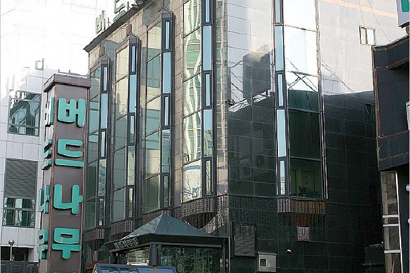 柳树家