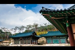 津宽寺
