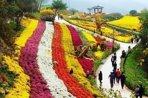 南山公园(首尔) 
