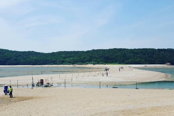 电影《实尾岛》外景地영화 [실미도] 촬영지