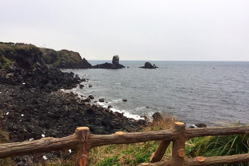 涉地可支