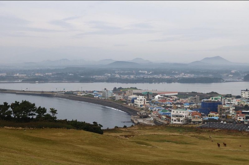 涉地可支