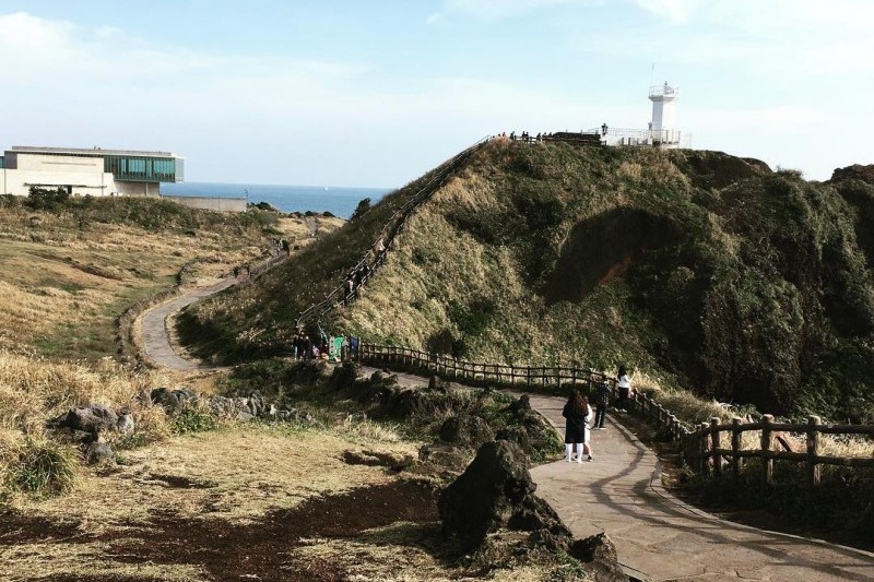 涉地可支