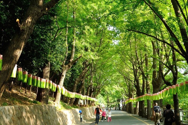 龙头山公园 (9/10)