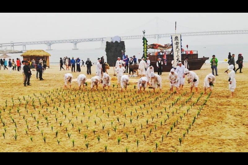 [文化观光庆典] 广安里渔坊节[문화관광축제]광안리어방축제
