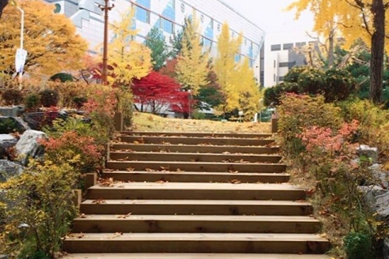 首尔大学(서울대학교[Seoul National University])