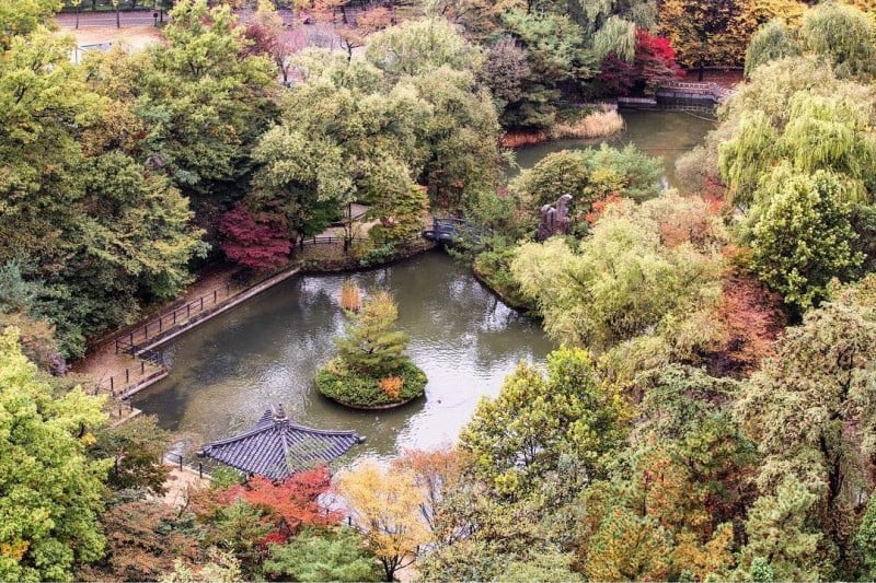 首尔大学(서울대학교[Seoul National University])