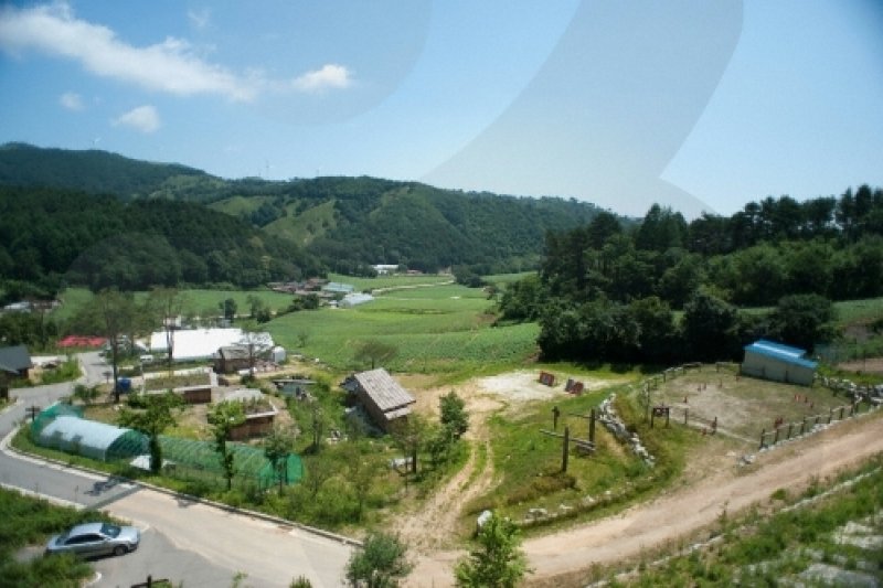大关岭雪花村대관령 눈꽃마을 (1/5)