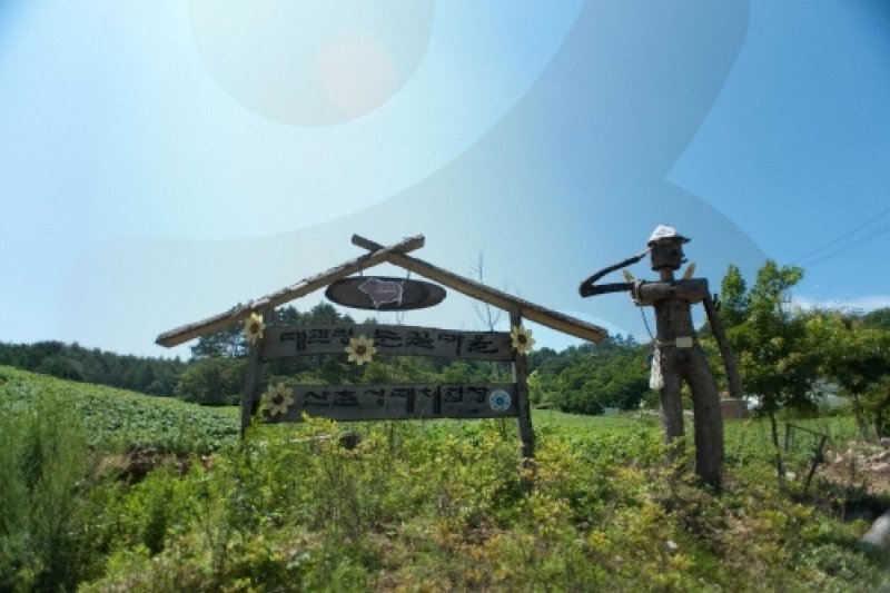 大关岭雪花村대관령 눈꽃마을 (2/5)