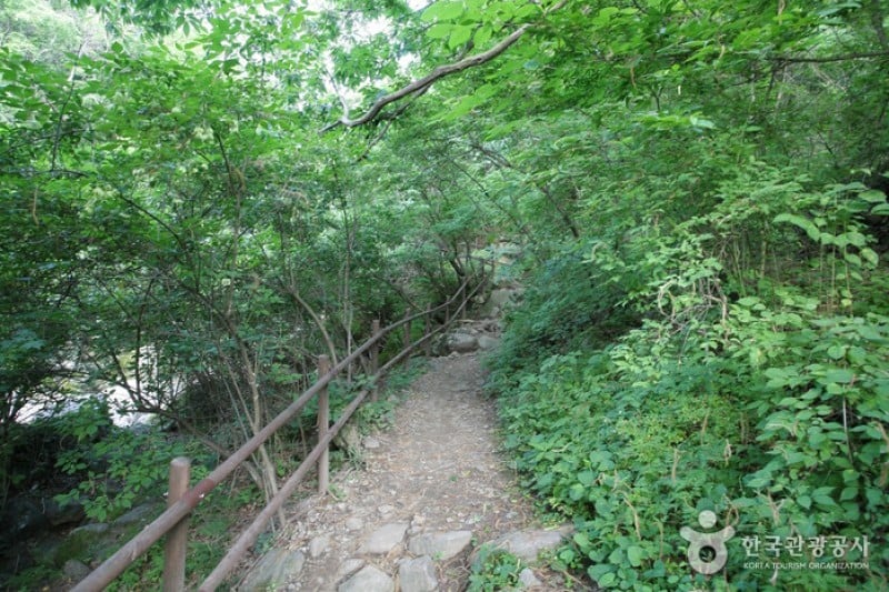 智异山国立公园