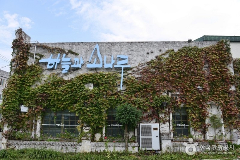 天与松하늘과소나무