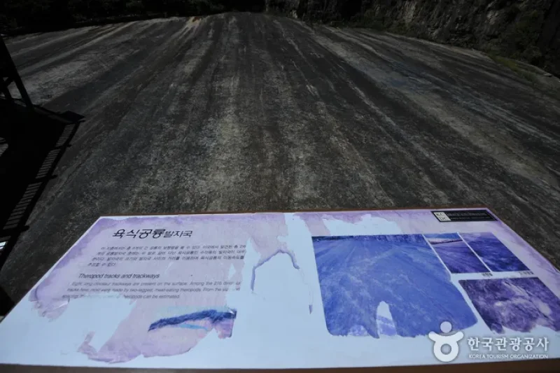 和顺西酉里恐龙足跡化石产地 (4/5)