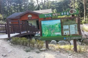 松香绿林