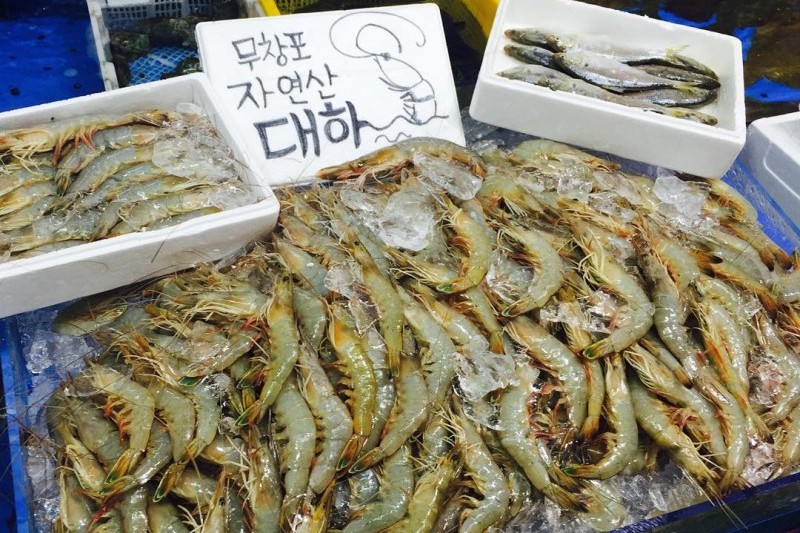 武昌浦神秘海路-大虾、钱鱼庆典무창포 신비의 바닷길 대하·전어 축제 (10/10)