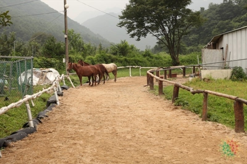 韩国传统文化体验学校