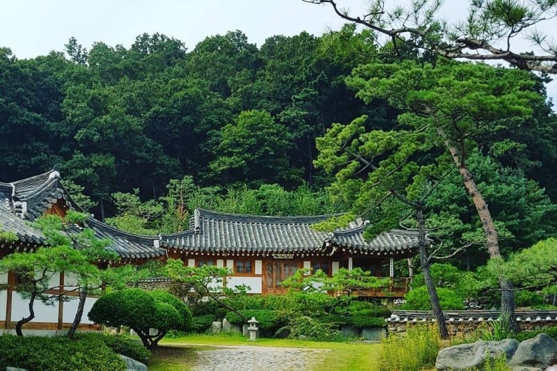 台风展望台 (6/9)