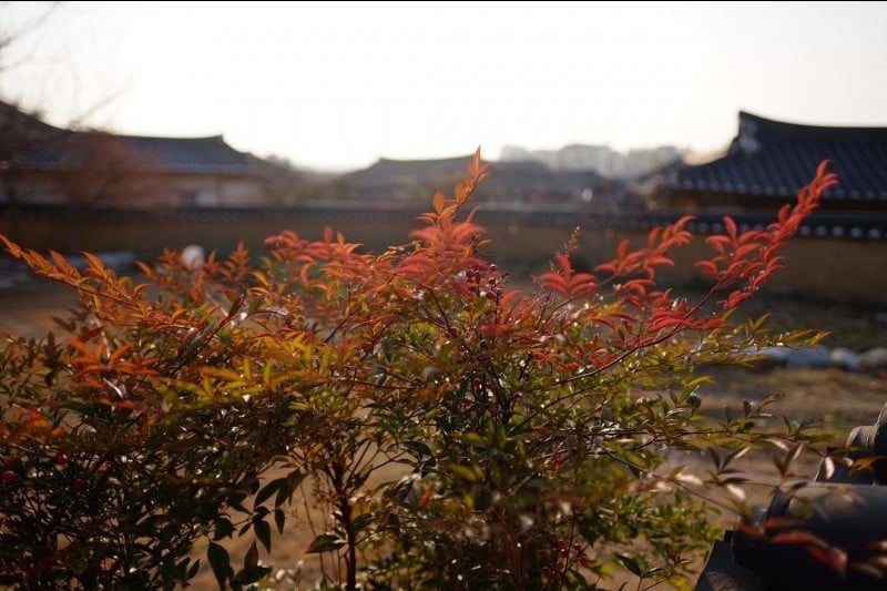 槐市里传统村落