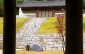 槐市里传统村落