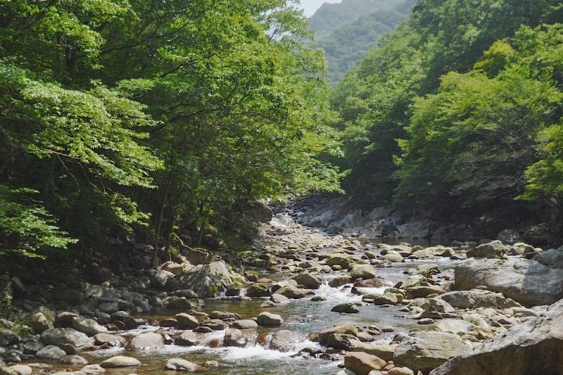 智异山十景 (6/14)