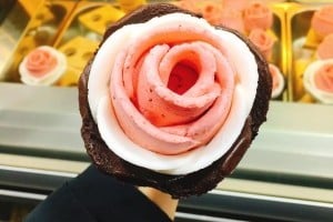 Milky Bee 明洞总店