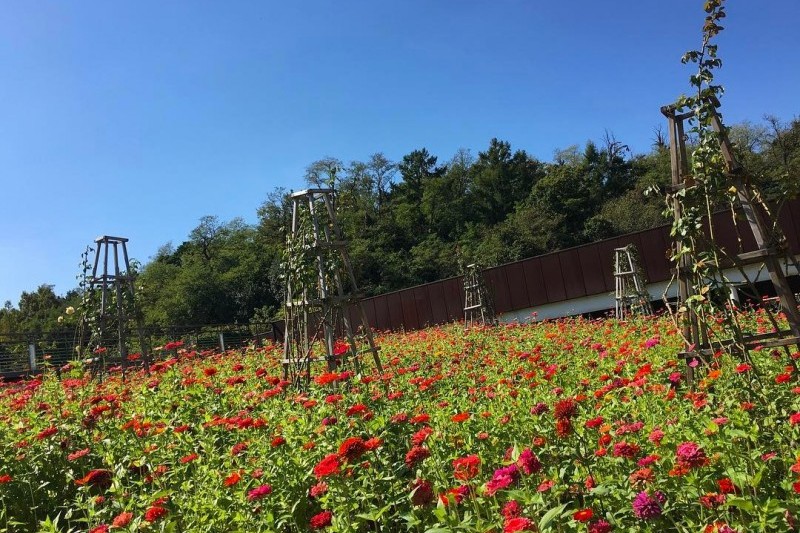 西首尔湖水公园 (2/3)