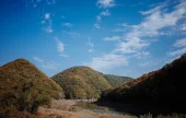 盘龟台
