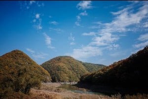 盘龟台