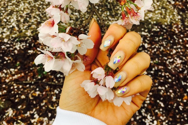 花开集市樱花庆典