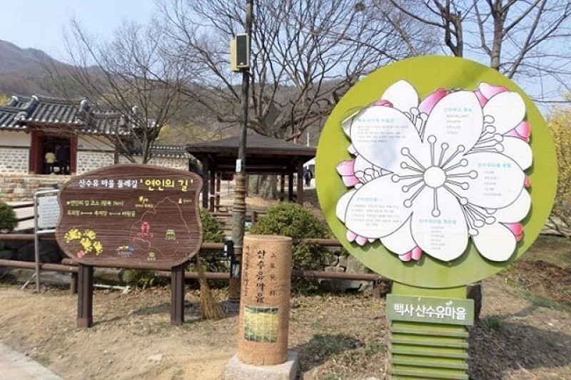 利川柏沙山茱萸庆典 (10/14)
