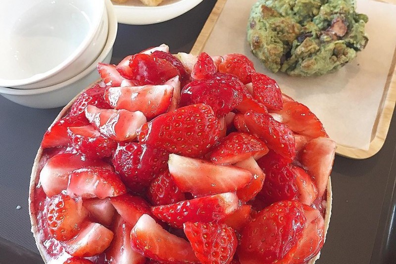 墙边的菊花 瑞来店