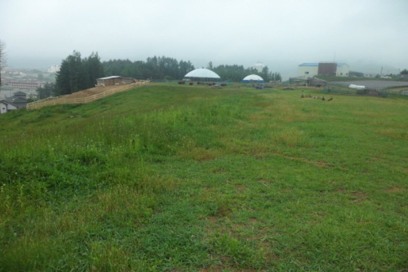 大关岭驴牧场堂吉诃德 (7/12)