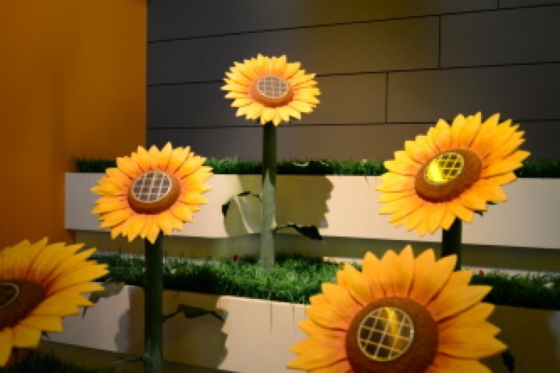 盈德新再生能源展示馆 (10/10)
