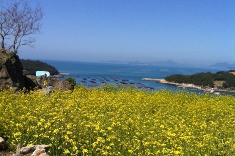 全南莞岛青山[慢城]